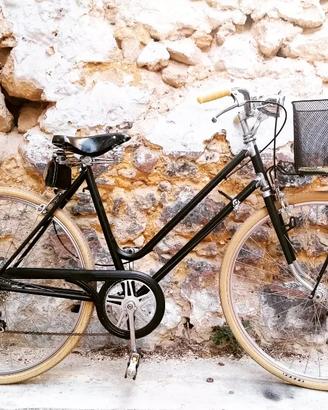 Bicicletta Vintage
