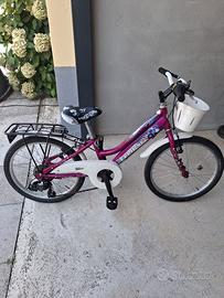 biciclette 