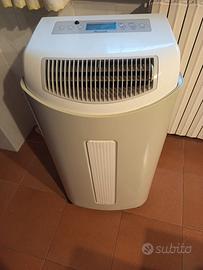 Condizionatore portatile 