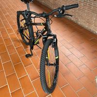 Bicicletta rock Rider