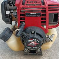 decespugliatore multifunzione Honda
