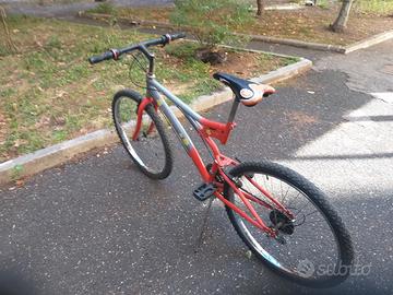 Bicicletta Uomo 