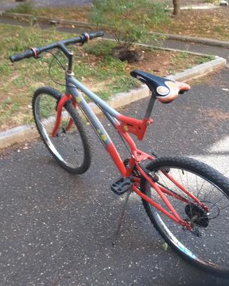 Bicicletta Uomo 