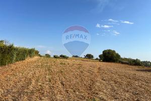 Terreno - Caltagirone