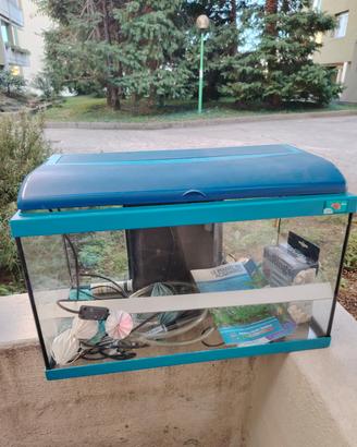 acquario di Nemo 