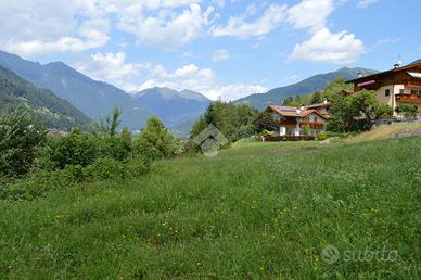 TER. RESIDENZIALE A BOCENAGO