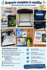 Acquario Amtra Laguna 30 LED completo