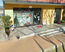 Immobile commerciale/residenziale