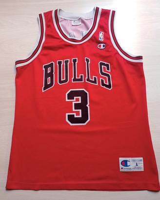 Chicago Bulls Tyson Chandler 