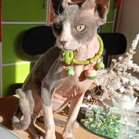 Sphynx
