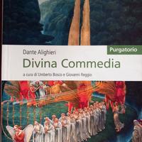 Divina Commedia- purgatorio