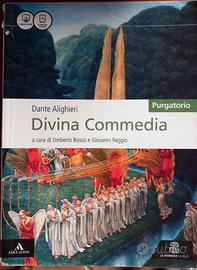 Divina Commedia- purgatorio