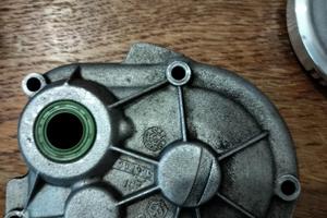 copri rapporti piaggio 