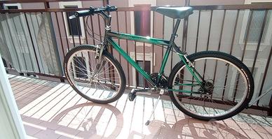 mountain bike  vintage