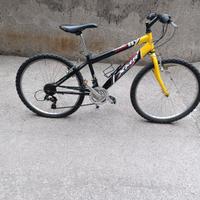 monta bike ruote 20
