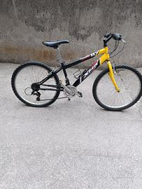 monta bike ruote 20