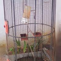 gabbia per uccelli vintage 