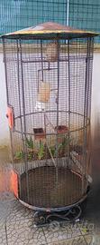 gabbia per uccelli vintage 