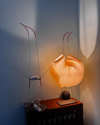 Lampada da tavolo INGO MAURER