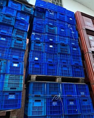 Cassette plastica blu’