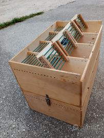 trasportini agganciati in pila a due a due