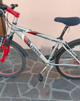 bici mtb