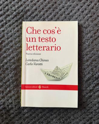 Che cos’è un testo letterario