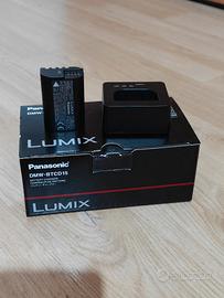 Caricabatterie Panasonic Lumix batteria