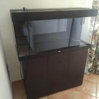Acquario Juwel Rio 180+ accessori