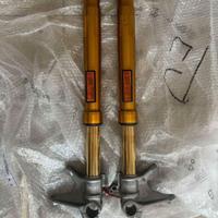 Forcelle Ohlins Nix 30