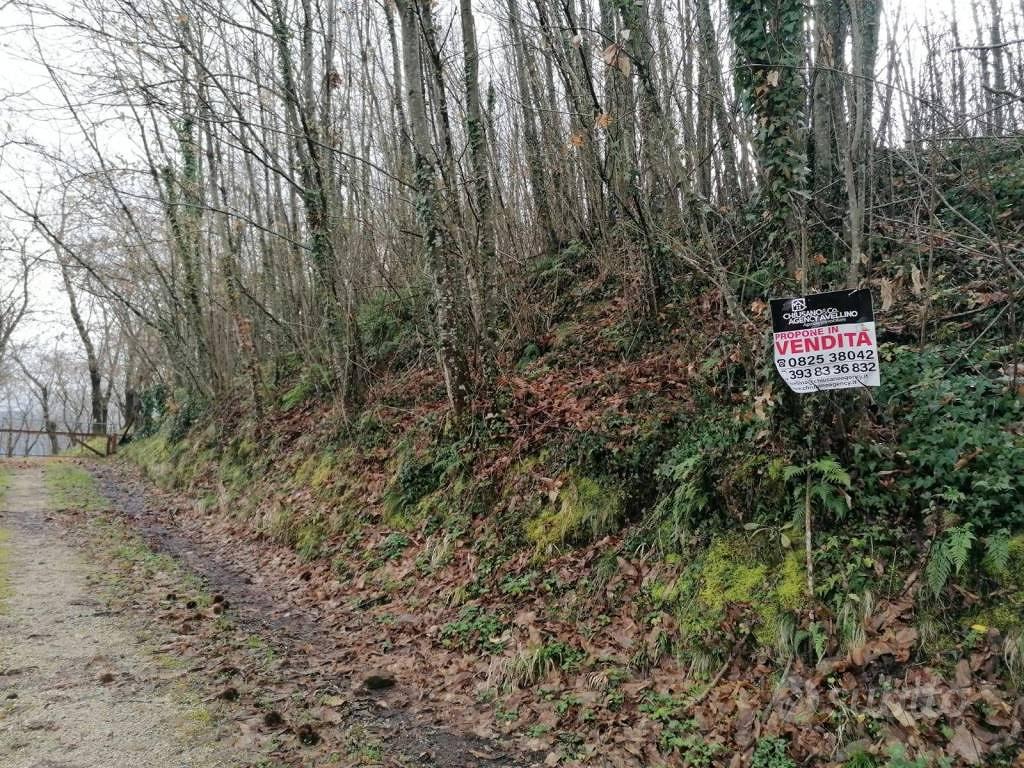 Terreno di 6600 m² a Aiello del Sabato - Vista 4