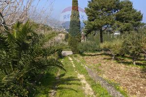 Rustico - Castellammare del Golfo