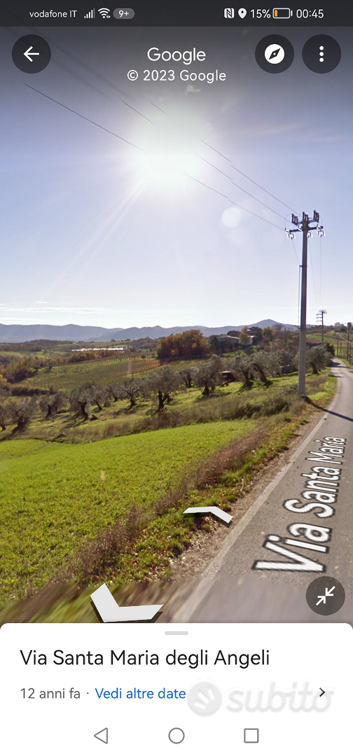 Appezzamento di terreno con ulivi - Vista 5