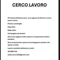 Ragazza 29 anni si offre per lavoro