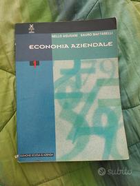 Libro economia aziendale