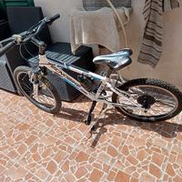 bici  tecnobike 60€