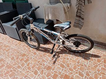 bici  tecnobike 60€