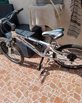 bici  tecnobike 60€