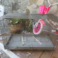 gabbia per uccelli o pappagalli