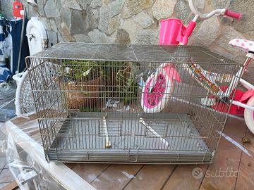 gabbia per uccelli o pappagalli