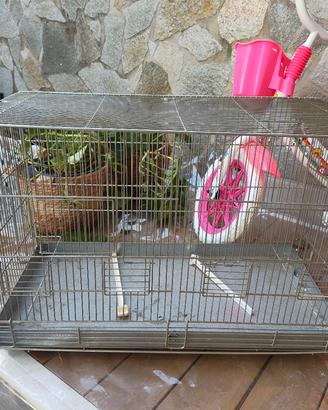 gabbia per uccelli o pappagalli