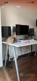Scrivania Grande Bianca 160x80 IKEA