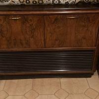 Mobile radio in radica