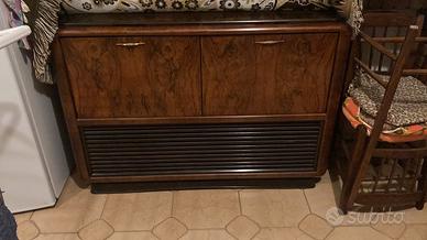 Mobile radio in radica