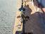 Immagine 4