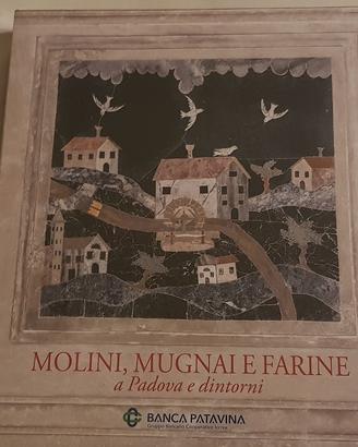 Libro Mulini mugnai farine Padova Banca Patavina