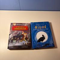 Libri Geronimo Stilton e Nilou