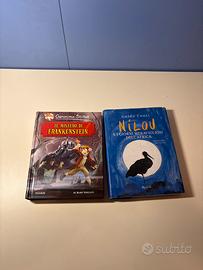 Libri Geronimo Stilton e Nilou