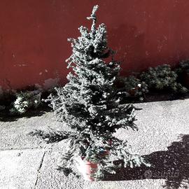 Albero di Natale