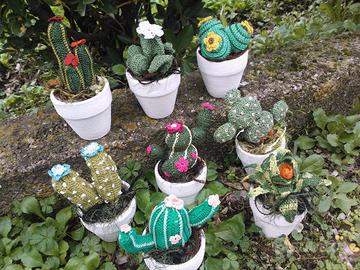 Piiante grasse/tulipanini/primule ad uncinetto